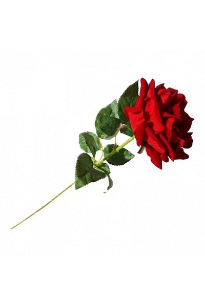 OEM Artificial flower, rose stem, 75 cm, red