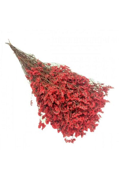 OEM Stabilized natural flowers, limonium, garnet