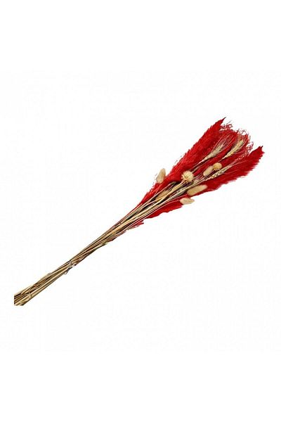 OEM Flori naturale stabilizate, buchet mixt, 75 cm, rosu