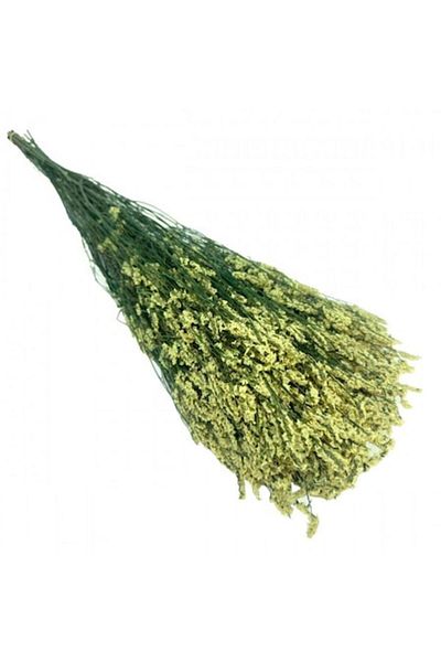 OEM Flori Stabilizate, Limonium, Galben