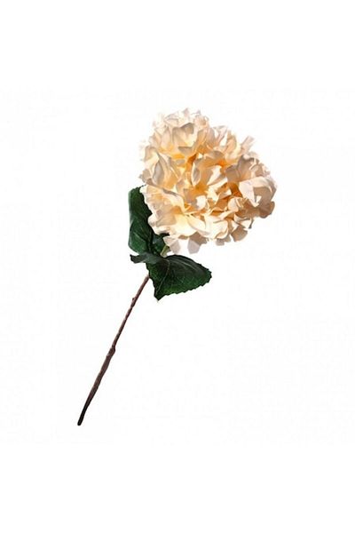 OEM Floare Artificială, Fir Hortensie, 60 Cm, Fildeș