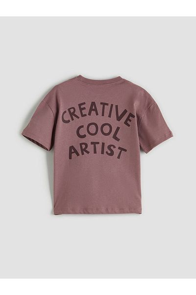 LC Waikiki Pink Crew Neck Printed Boy's T-Shirt