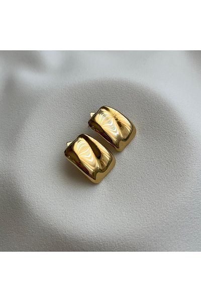 Arye Aksesuar Steel Earrings