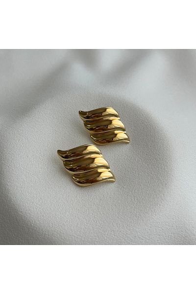 Arye Aksesuar Steel Earrings