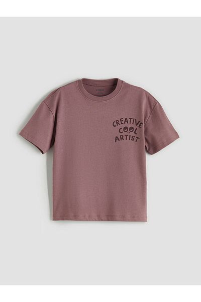 LC Waikiki Pink Crew Neck Printed Boy's T-Shirt