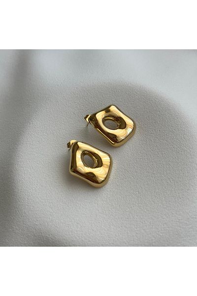 Arye Aksesuar Steel Earrings