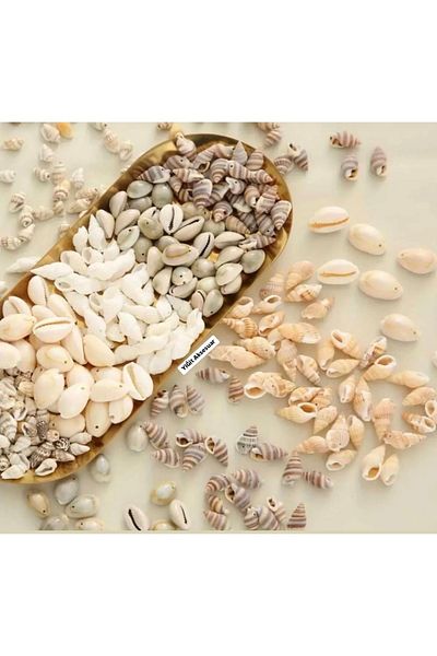 yiğit aksesuar 5 Models 25Pcs Mixed Hole Seashell Jewelry Making Supplies