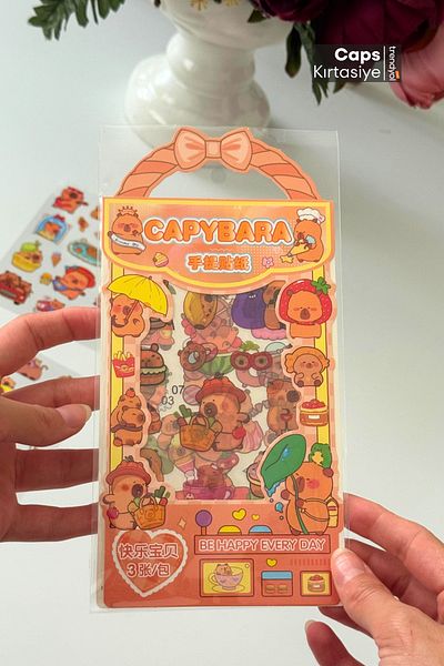 caps anlarınızı paylaştığınız ortağınız 2 Pieces 6 Sheets Capybara Themed 80+ Transparent Bag Sticker Set |   Bicycle Laptop Water Bottle Sticker