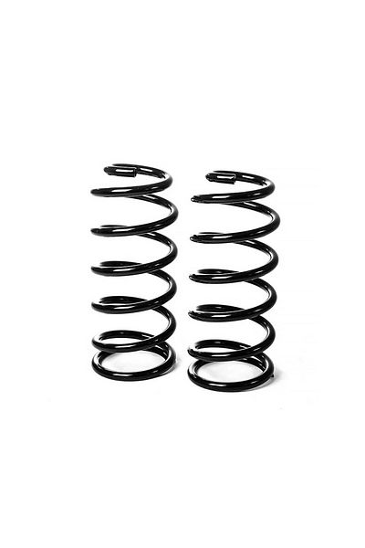 ARB 2895 OME Rare Coil Spring