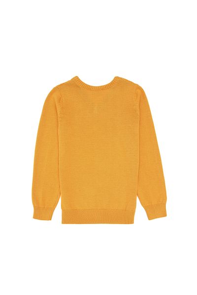 U.S. Polo Assn. Boy's Mustard Basic V-Neck Sweater 50269036-Vr072
