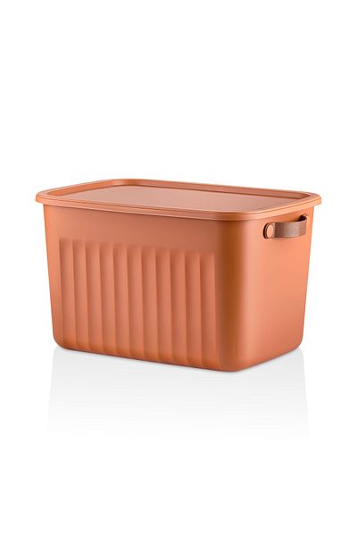 Frapan Home 3 Pieces 15 Lt Multi-Purpose Organizer Box with Lid Inside Cabinet Bathroom Kitchen Organizer