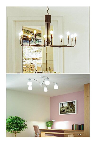 PANASONIC 4,9W (40W) Led Mum Ampul Günışığı - 4000K E14 6 Adet