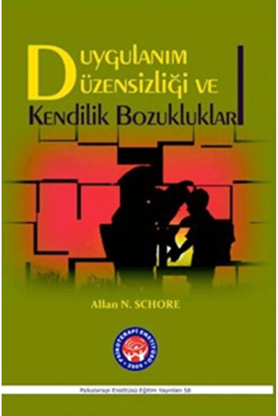 Psikoterapi Enstitüsü Duygulanım Düzensizliği ve Kendilik Bozukluklar (Ciltli)