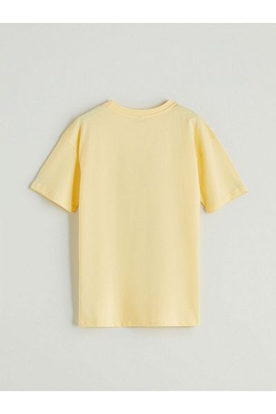 LC Waikiki Sari Crew Neck Boy's T-Shirt