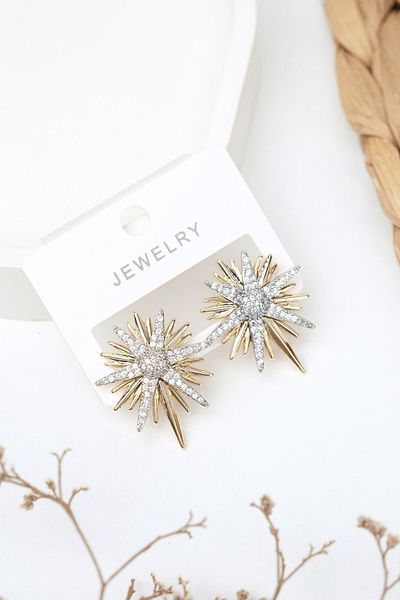 Jack Ferrero Luxury Steel/Not Darkening /Women's Earrings