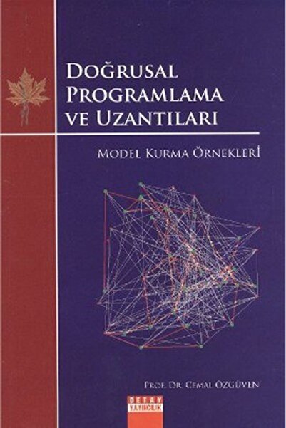 Generic Brand Doğrusal Programlama ve Uzantıları Model Kurma Örnekleri