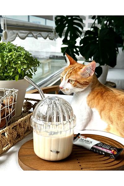 CEZVE HOME 4 Pieces Mica Heat Resistant Pinterest Coffee and Presentation Cup with Straw |   430 ml (Cleaning Scrub Gift)