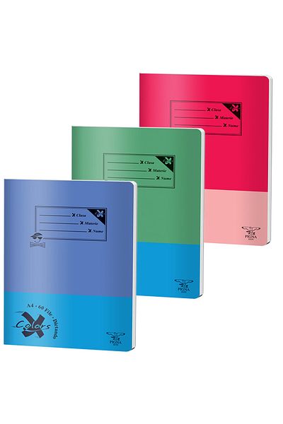 PIGNA Notebook A4, 60 Files, Dictating, Basic, Pigna