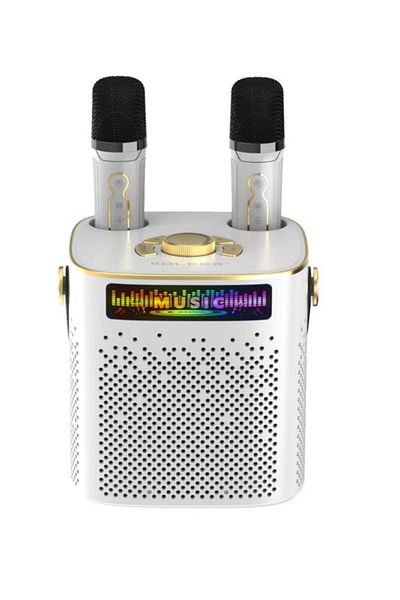 KOLEER Bluetooth Karaoke Speaker with 360° Surround Wireless Subwoofer and Dual Microphone White