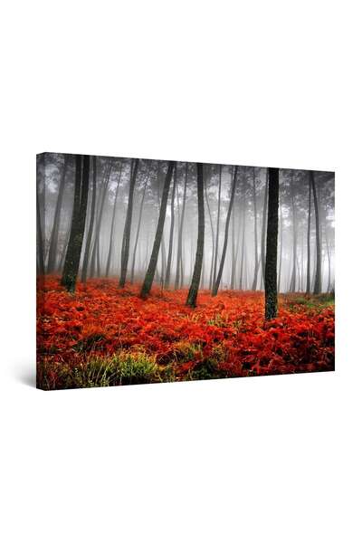 startonight Tablou DualView Startonight Ceata in padure, 80 cm x 120 cm