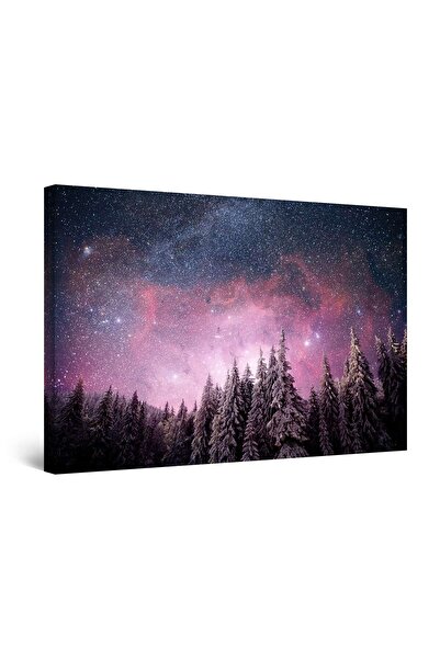 startonight Tablou DualView Startonight Cer Instelat peste Padure, 90 cm x 60 cm