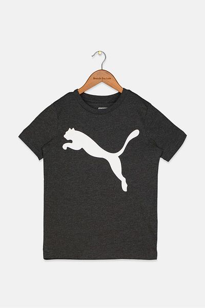 Puma Kid Boys Short Sleeve Crew Neck T-shirt, Grey