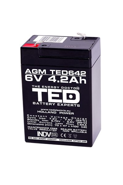 TED TED Stationary 6V 4.2Ah VRLA AGM Battery, for UPS, Medical Equipment and Security Systems