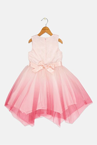 Luna Moon Toddlers Girl Embroidered Belted Mesh Dress, Pink