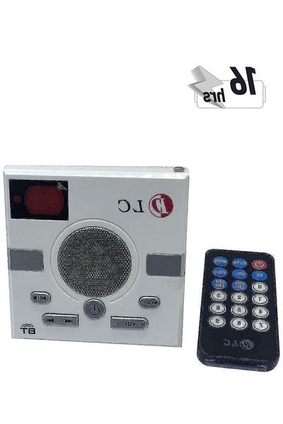 DLC Portable Bluetooth Radio Speaker – Wireless Music Player with FM & Remote Control