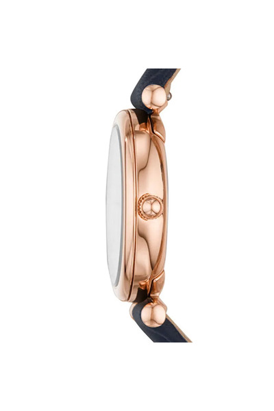 Fossil FES4502 Kadın Kol Saati