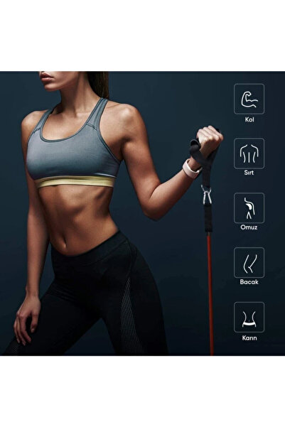 Hubstein 11 Piece Latex Resistance Band Set Behind Door Resistance Band