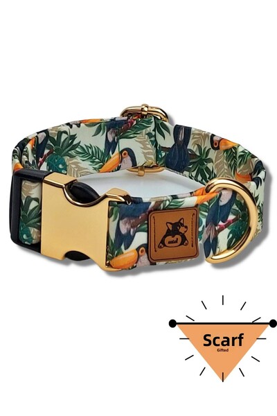 UTDpet طوق توكو للكلاب