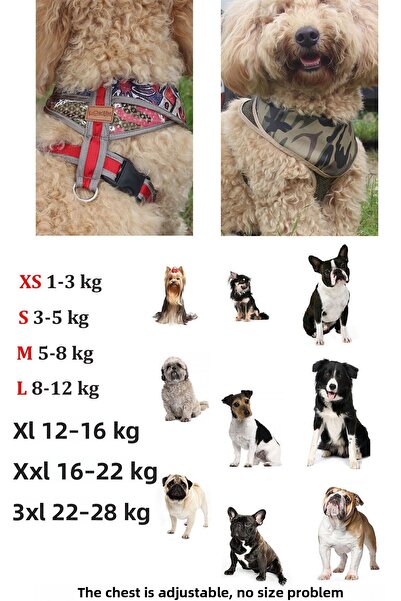 Globodepo Blue Denim Jeans - Collared, Dog Collar, Harness Anti-Escape, Chest Body Collar Adjustable