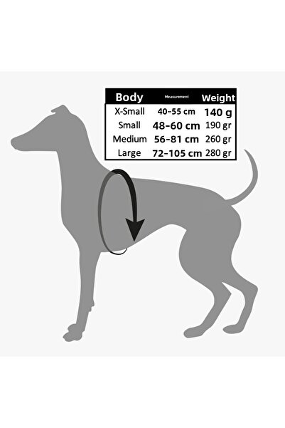 GoPawGo Supreme Charm Dog Collar Set