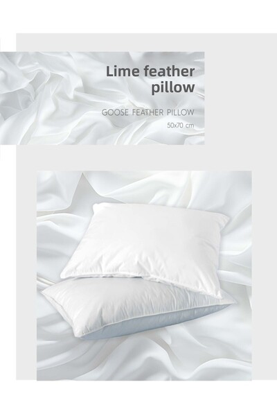 Bayev 50X70 cm White Microfiber Goose down Pillow