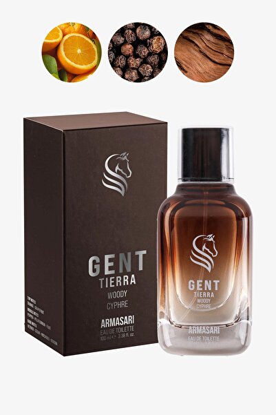 Armasari Gent Tierra Odunsu Uzun Süre Kalıcı 100 ml EDP Erkek Parfüm