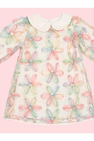 Zekids Girl's Baby Doll Collar Floral Embroidered Design Dress