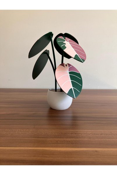 genomera Jewel Alocasia Coaster