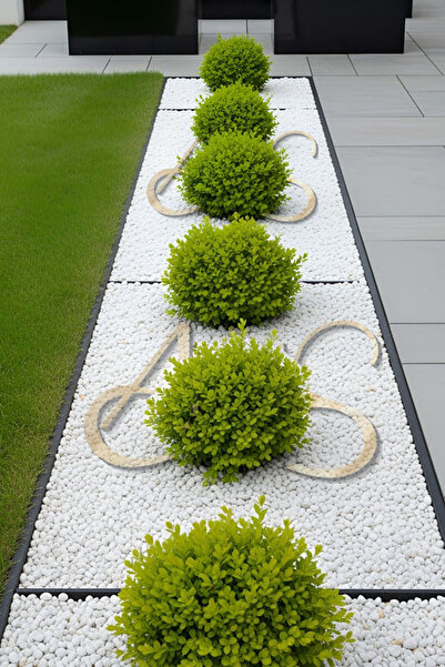 AHS Beyaz Dolomit Taş 10 Kg 1-2 Cm Dere Çakıl Taşı Bahçe Peyzaj Süs Taşı Saks...