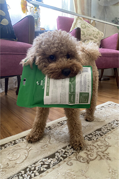 kito Dana Kelle Derisi Çiğnemelik Köpek Ödül Maması %100 Doğal, Glutensiz, Organik 100 gr (DOG TREAT)