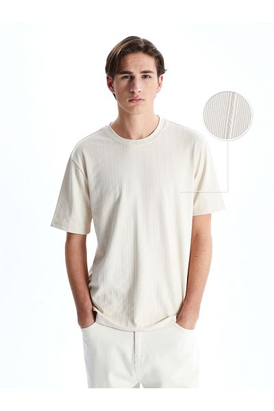 LC Waikiki Crew Neck Striped Men's Textured T-Shirt