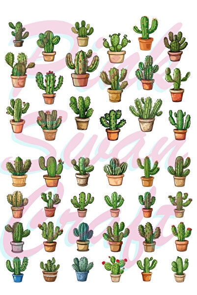 Pink Swan Craft Set de cactusi acuarela, jurnal de glonțuri, album de însemnă...