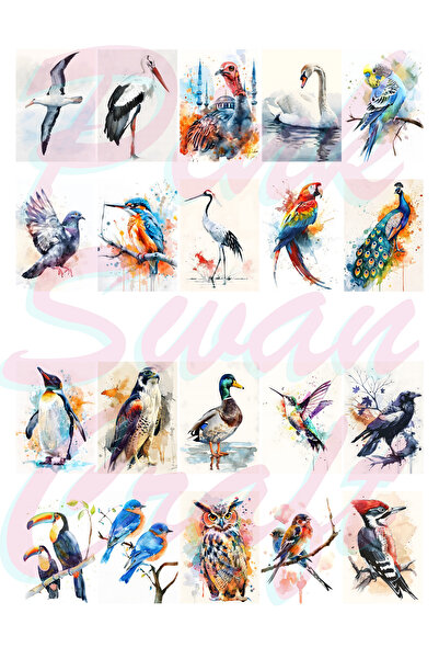 Pink Swan Craft لوحة زيتية عتيقة على شكل طيور - مجموعة ملصقات مجلة رصاصة جدول...