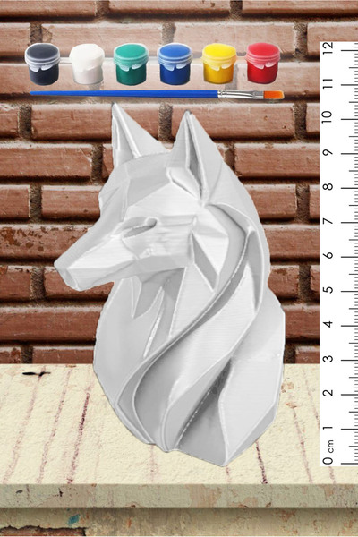 Postermanya Kurt Figür Yetişkinler İçin Boyama Seti, Sanatsal Hobi, Büyükler ...