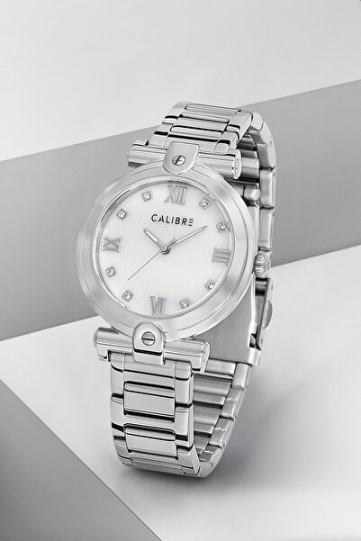 Timeless Serisi Metalik Gümüş Çelik Kordonlu Kadın Kol Saati