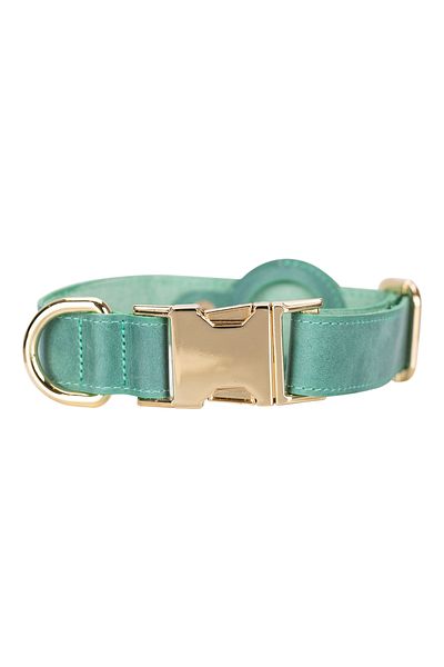 Lev Leather Leather Dog Collar, Genuine Leather Dog Collar with Airtag Compartment-Name Writable