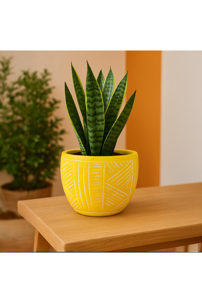 Genel Markalar Duvar Desenli Beton Saksı - Sarı - 13,5x12,5 cm