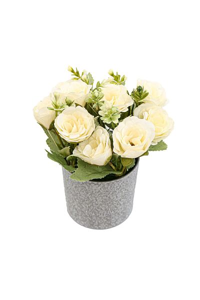 Ella Home Italia Rose Pot, Cream, Plastic, 18Cm - Cream, Plastic, 18cm