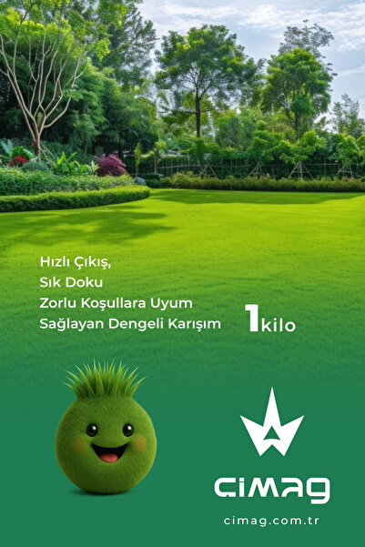 Çim Tohumu 3 Mix Grass Karışımı - 1 Kg