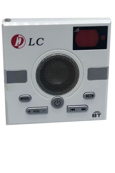 DLC Portable Bluetooth Radio Speaker with Remote Control